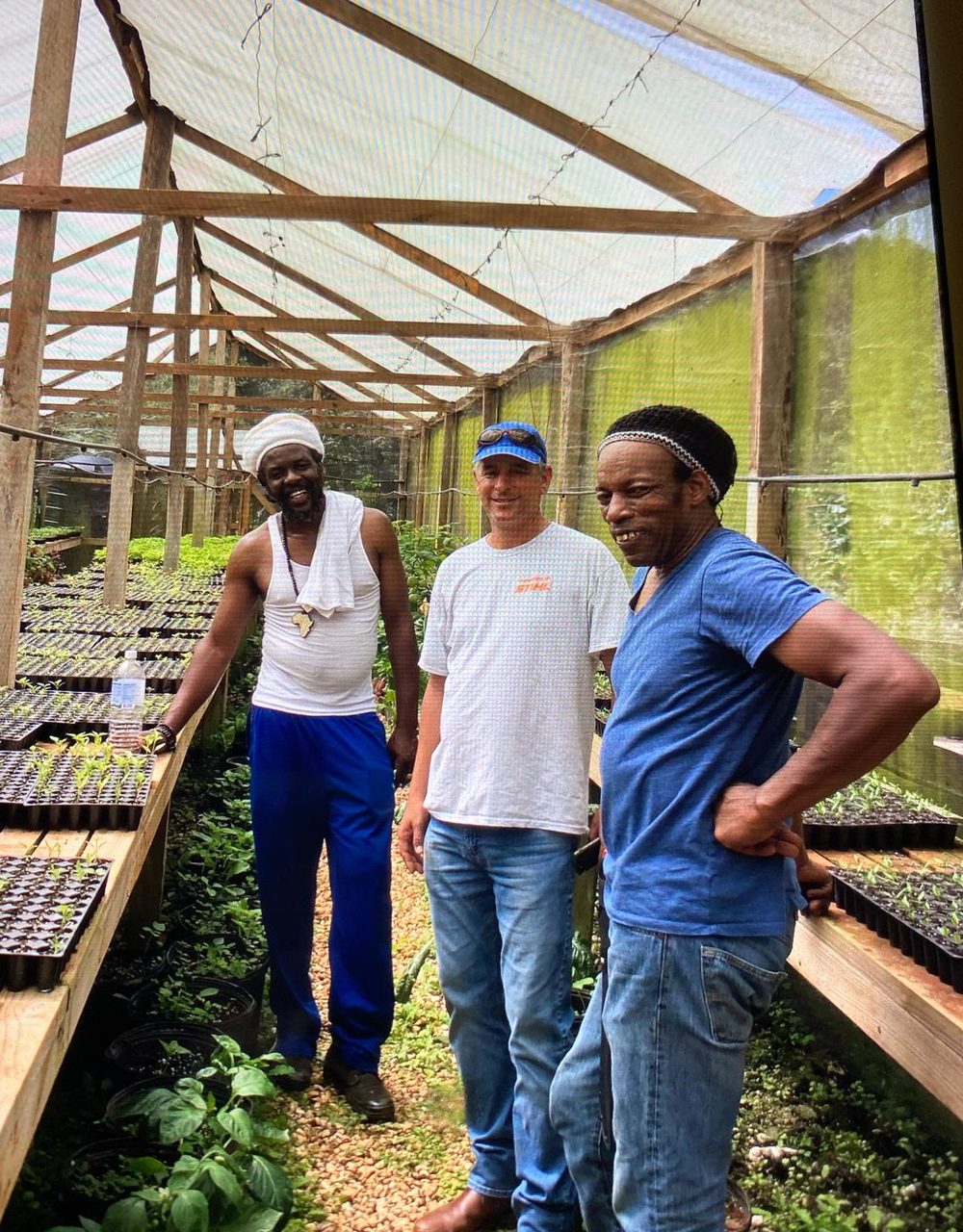 Lou Duncanson standing with two other men inside a wooden greenhouse filled with seedling trays in Jamaica